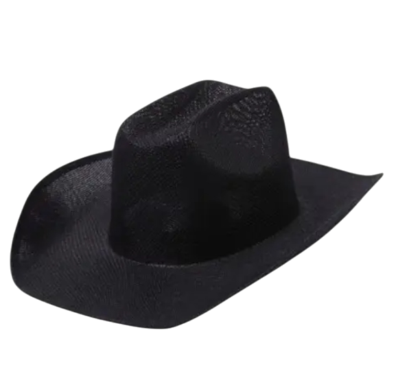 Paper Straw Wide Brim Cowboy Hat